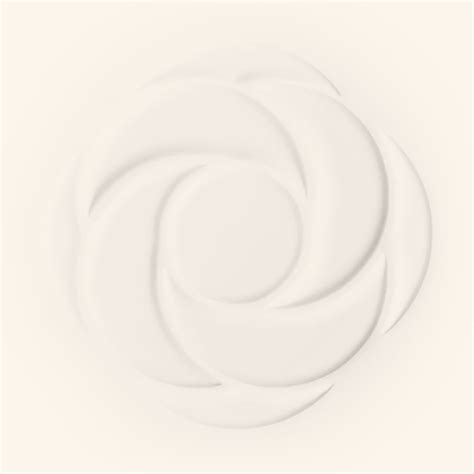 chanel ambition en matière